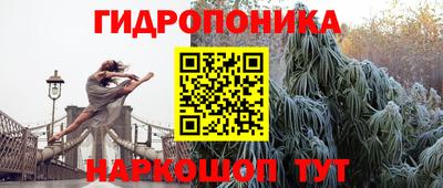 бошки Донецк