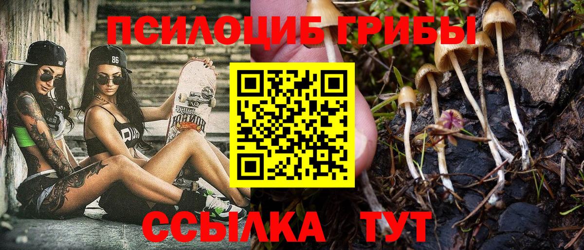 Галлюциногенные грибы Cubensis  Вход с VPN  где найти   Галлюциногенные грибы Psilocybe  Новодвинск 