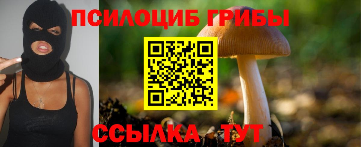 Галлюциногенные грибы GOLDEN TEACHER Новодвинск